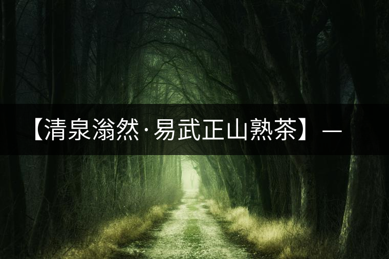 【清泉滃然·易武正山熟茶】——熨帖冬季的寒冷，來的正是時候！
