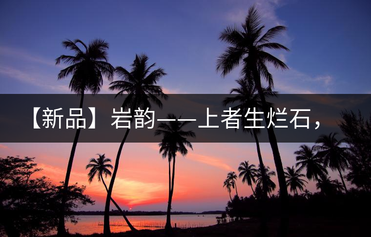 【新品】巖韻——上者生爛石，巖骨茶韻自天成