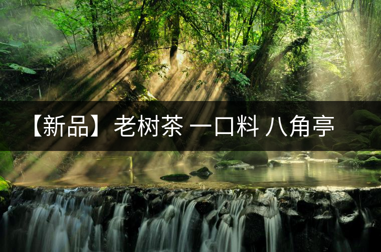 【新品】老樹茶 一口料 八角亭滑竹梁子上市在即!
