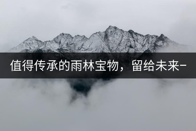 值得傳承的雨林寶物，留給未來(lái)一點(diǎn)“回甘”！