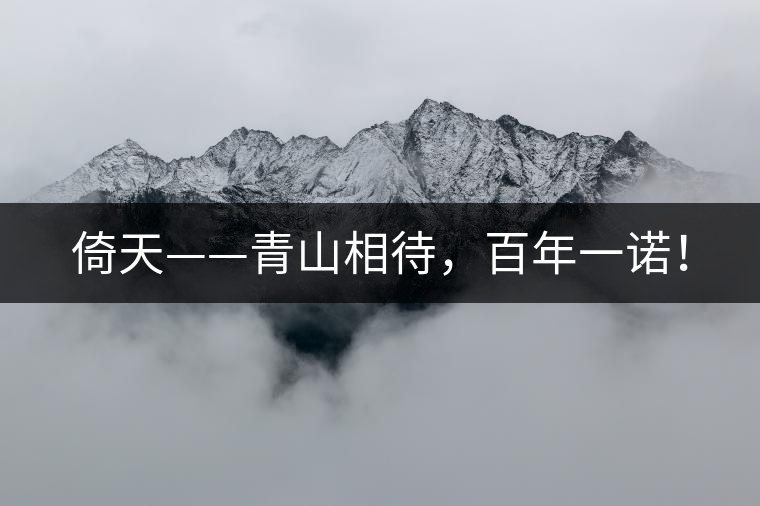 倚天——青山相待，百年一諾！