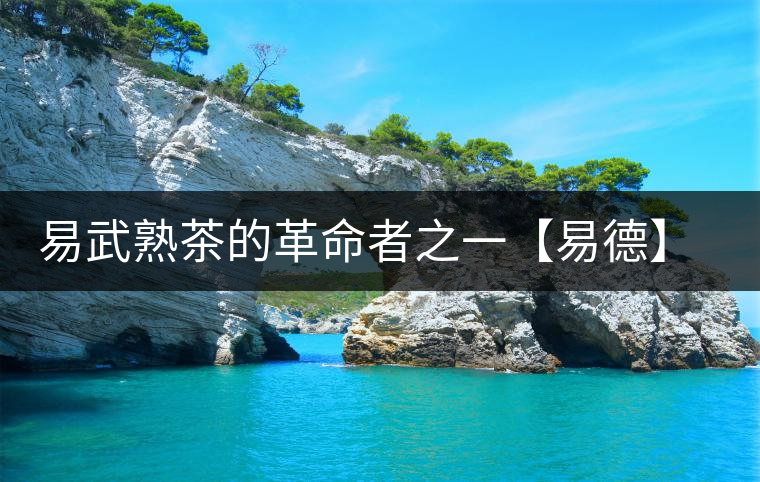 易武熟茶的革命者之一【易德】正式上市