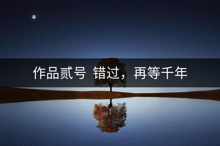作品貳號(hào)  錯(cuò)過，再等千年