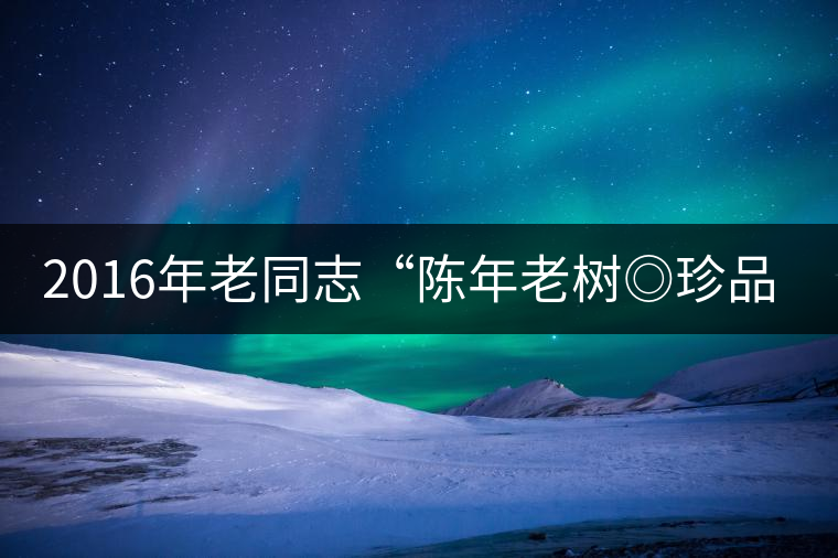 2016年老同志“陳年老樹◎珍品普洱”隆重上市！