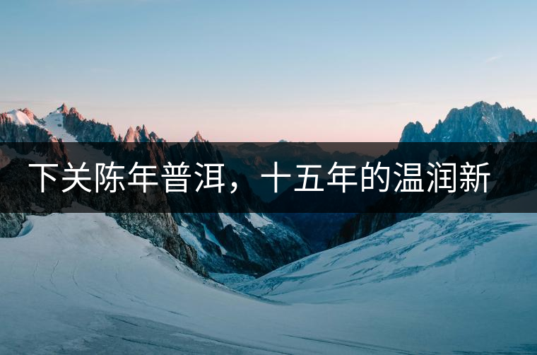 下關(guān)陳年普洱，十五年的溫潤(rùn)新生