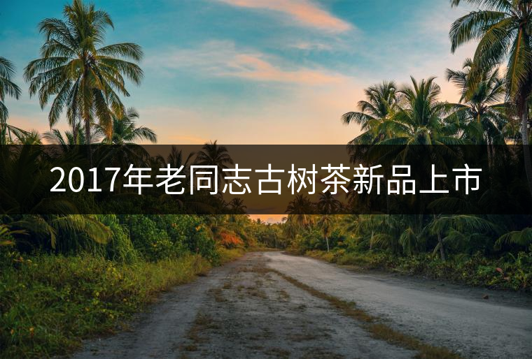 2017年老同志古樹(shù)茶新品上市