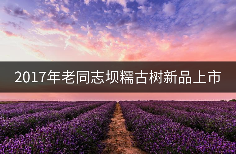 2017年老同志壩糯古樹(shù)新品上市 2017年老同志壩糯古樹(shù)新品上市