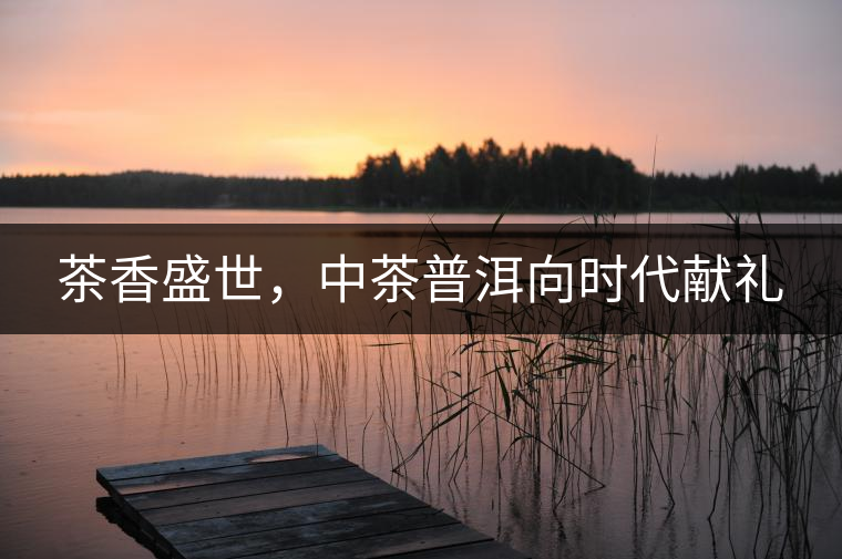 茶香盛世，中茶普洱向時代獻(xiàn)禮