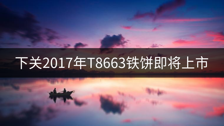 下關2017年T8663鐵餅即將上市