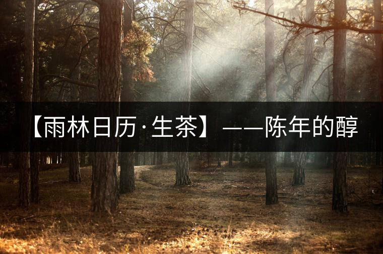 【雨林日歷·生茶】——陳年的醇，老料的香！