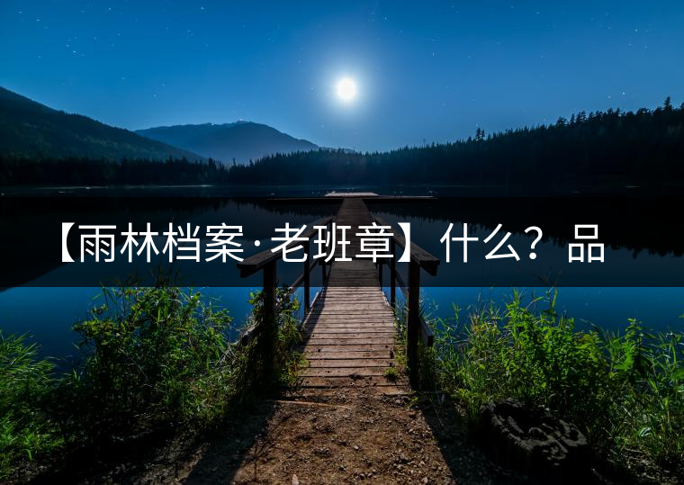 【雨林檔案·老班章】什么？品了雨林老班章回甘生津一整天！