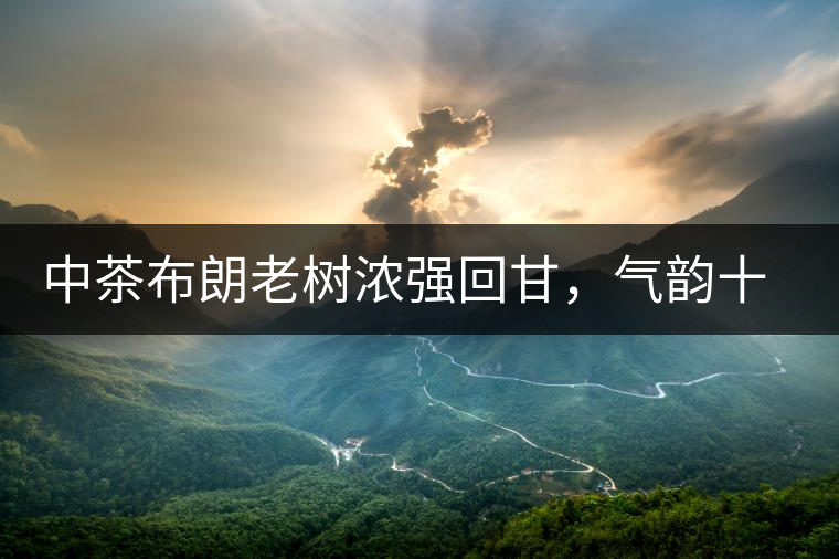 中茶布朗老樹濃強(qiáng)回甘，氣韻十足