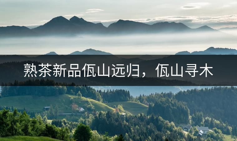 熟茶新品佤山遠(yuǎn)歸，佤山尋木