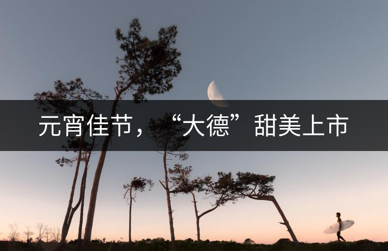 元宵佳節(jié)，“大德”甜美上市
