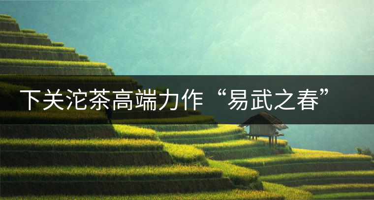 下關(guān)沱茶高端力作“易武之春”即將上市
