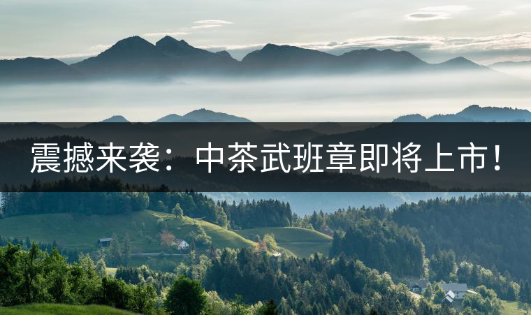 震撼來襲：中茶武班章即將上市！