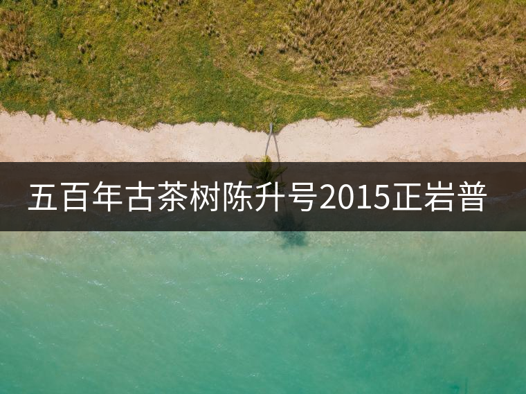五百年古茶樹陳升號2015正巖普洱上市