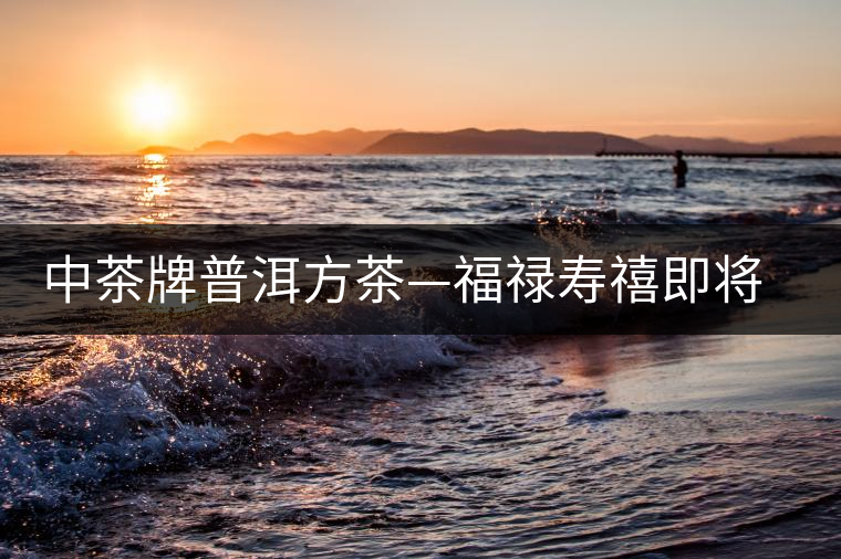 中茶牌普洱方茶—福祿壽禧即將上市 中茶牌普洱方茶—福祿壽禧即將上市