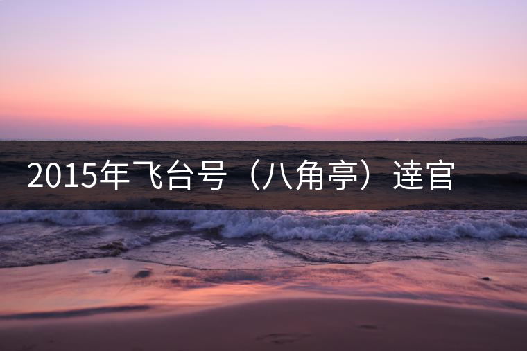 2015年飛臺(tái)號(hào)(八角亭)逹官普洱茶生茶上市 2015年飛臺(tái)號(hào)(八角亭)逹官普洱茶生茶上市