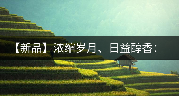 【新品】濃縮歲月、日益醇香：陳臻號(hào)陳品熟餅即將上市！