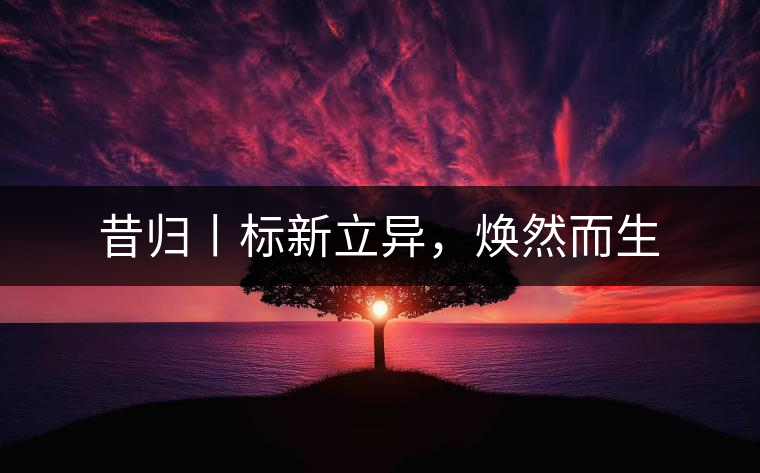 昔歸丨標新立異，煥然而生