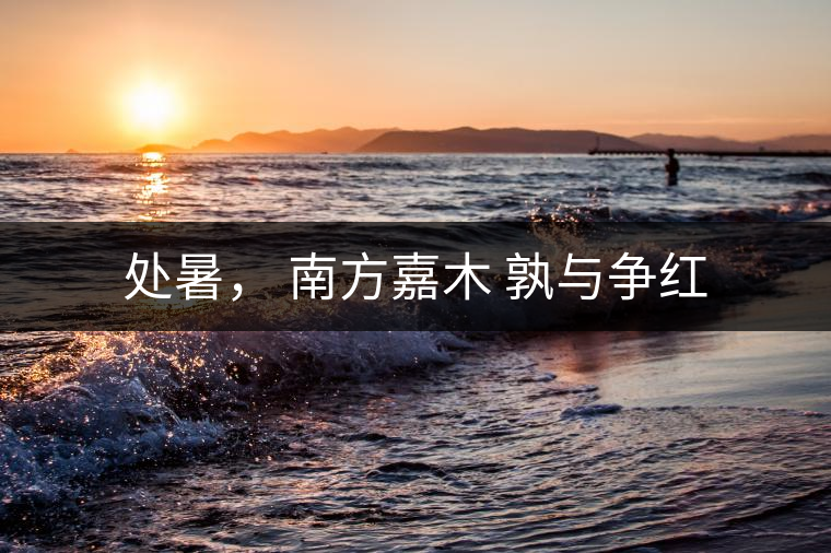 處暑， 南方嘉木 孰與爭紅