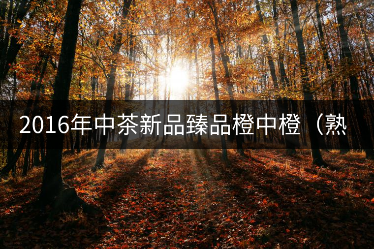 2016年中茶新品臻品橙中橙（熟茶）首發(fā)