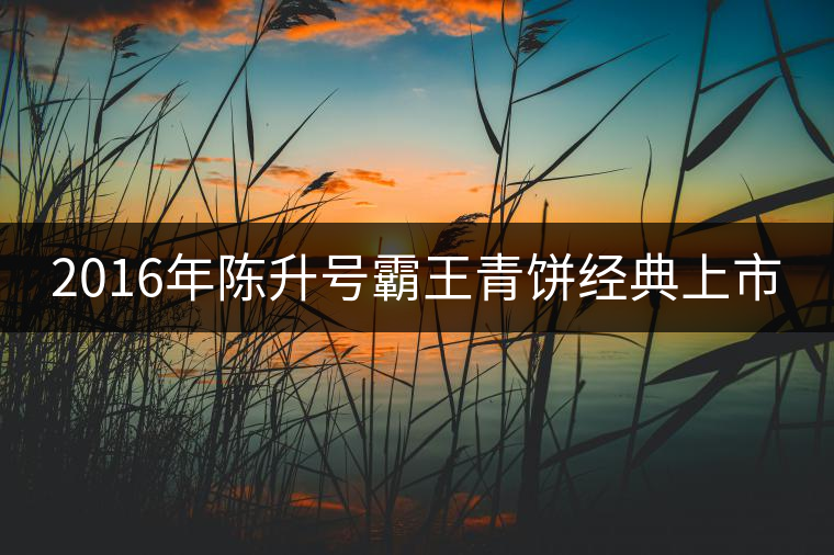 2016年陳升號(hào)霸王青餅經(jīng)典上市