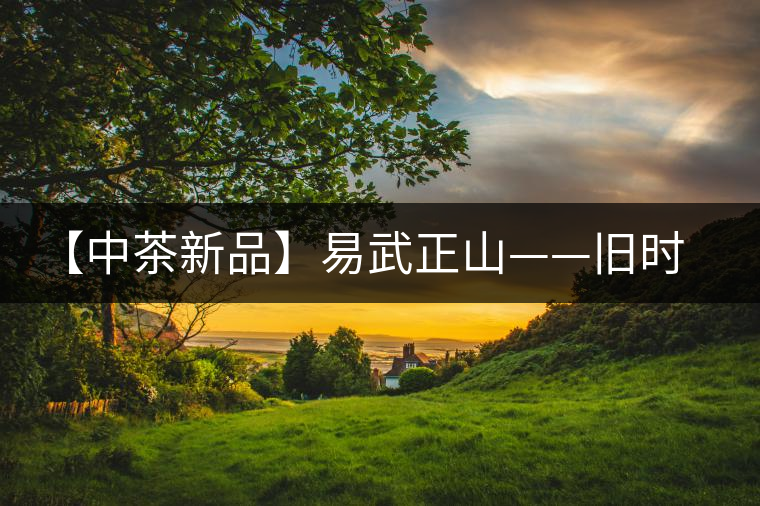 【中茶新品】易武正山——舊時(shí)難得茗中瑞品