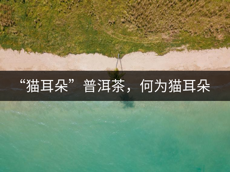 “貓耳朵”普洱茶，何為貓耳朵？