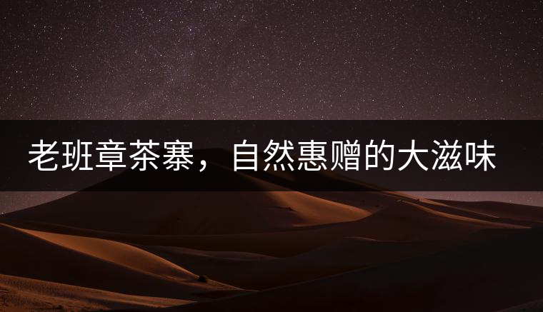 老班章茶寨，自然惠贈(zèng)的大滋味，大滿(mǎn)足