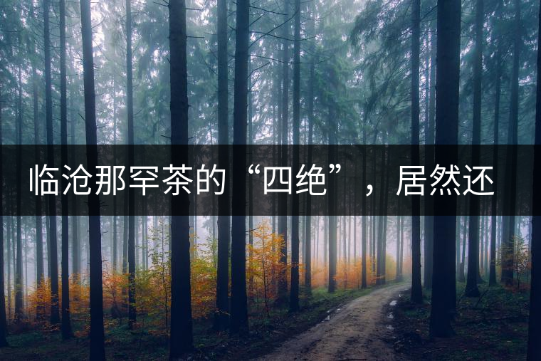 臨滄那罕茶的“四絕”，居然還沒說到它的品質