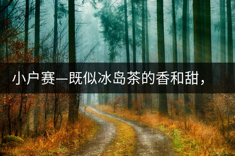 小戶賽—既似冰島茶的香和甜，又有其獨特的純和凈