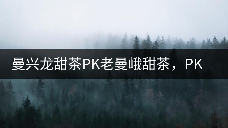 曼興龍?zhí)鸩鑀K老曼峨甜茶，PK出勐海茶區(qū)第三匹黑馬！