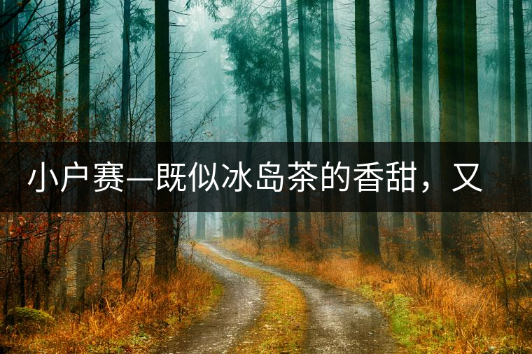 小戶賽—既似冰島茶的香甜，又有其獨(dú)特的純和凈
