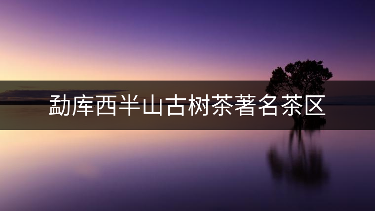 勐庫西半山古樹茶著名茶區(qū)