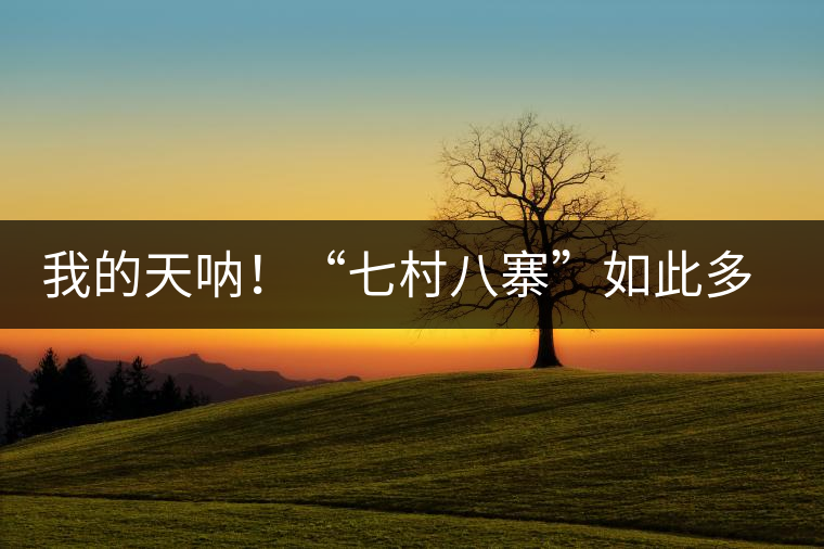 我的天吶！“七村八寨”如此多的易武茶，品質(zhì)特色如何分辨？