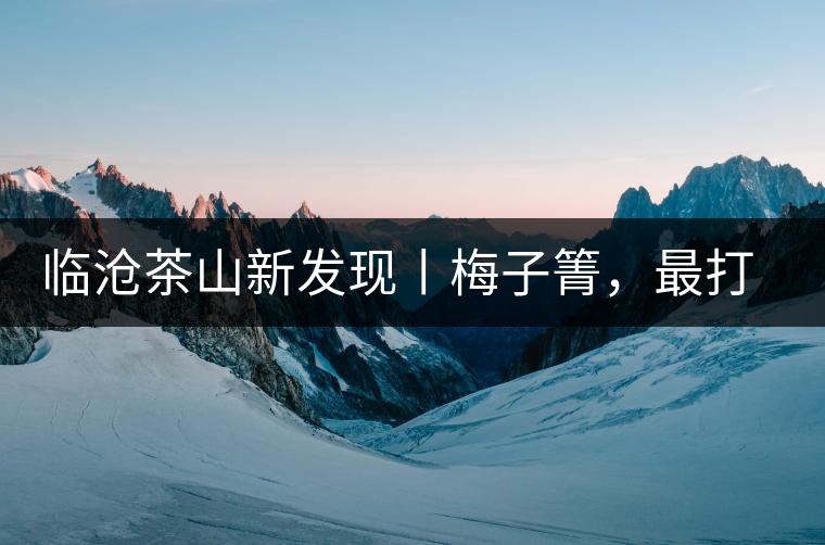 臨滄茶山新發(fā)現(xiàn)丨梅子箐，最打動(dòng)自己的茶山