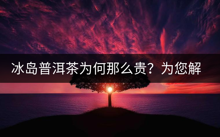 冰島普洱茶為何那么貴？為您解析其中的原由