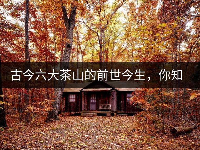 古今六大茶山的前世今生，你知多少？