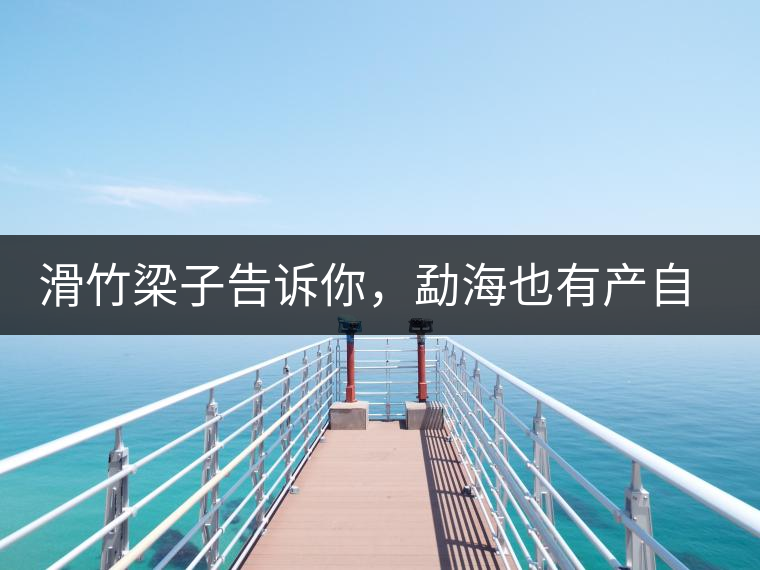 滑竹梁子告訴你，勐海也有產(chǎn)自國有林里的好茶！
