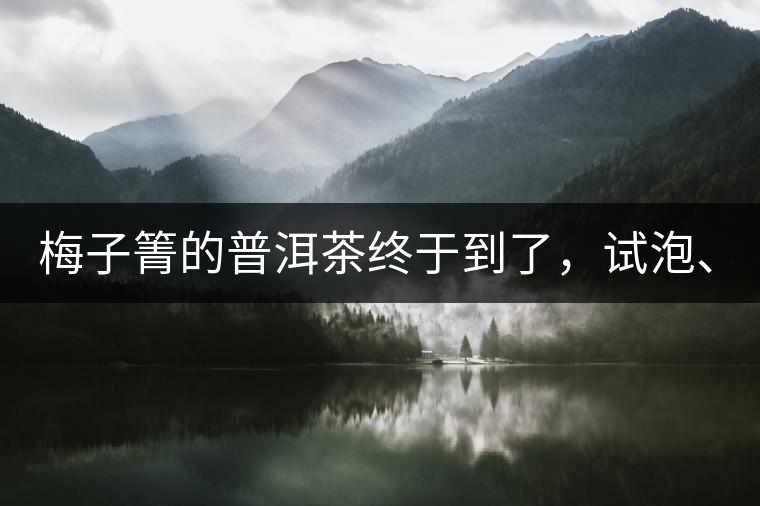 梅子箐的普洱茶終于到了，試泡、、、