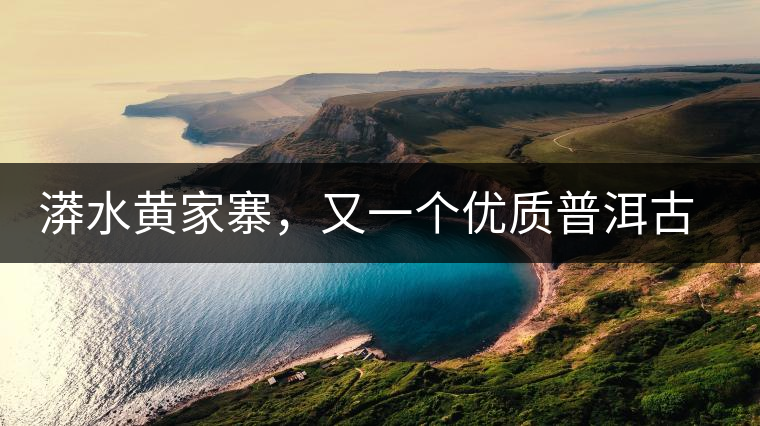 漭水黃家寨，又一個優(yōu)質(zhì)普洱古樹群落