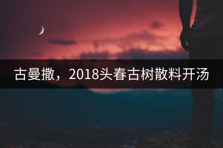 古曼撒，2018頭春古樹散料開湯