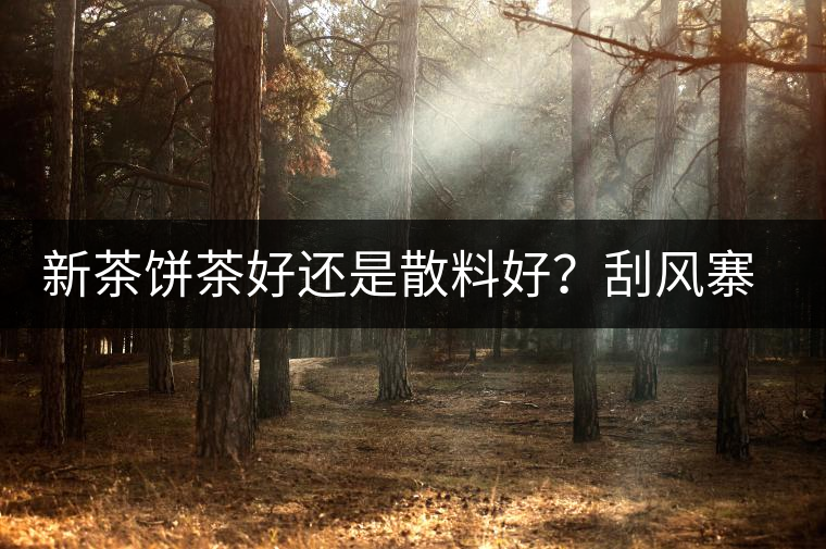 新茶餅茶好還是散料好？刮風寨開湯評測
