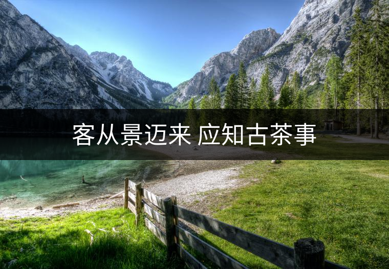 客從景邁來(lái) 應(yīng)知古茶事 客從景邁來(lái) 應(yīng)知古茶事
