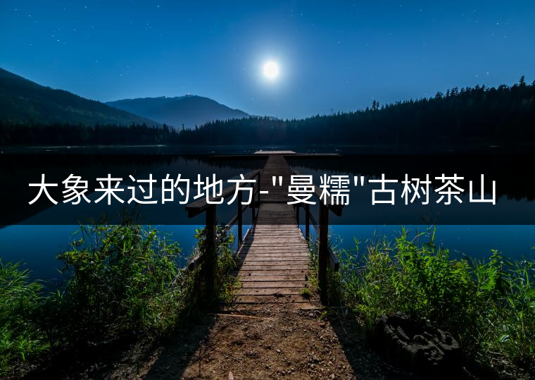 大象來過的地方-