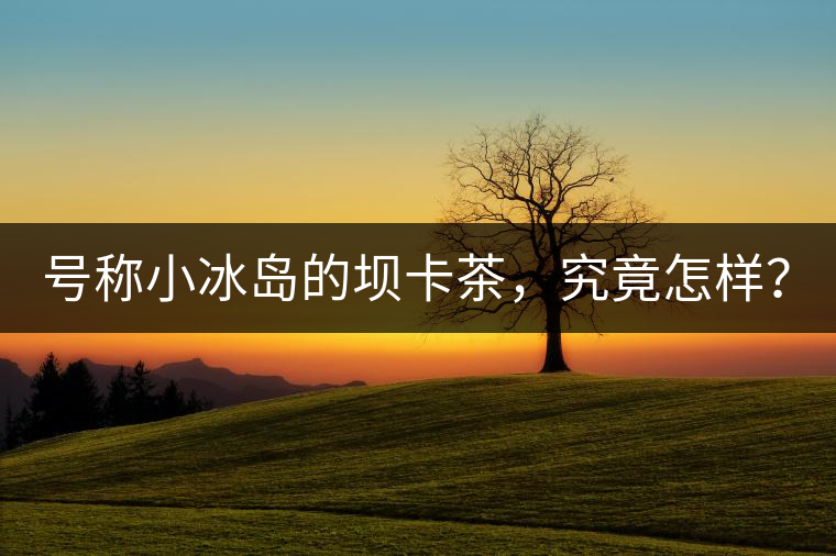 號稱小冰島的壩卡茶，究竟怎樣？