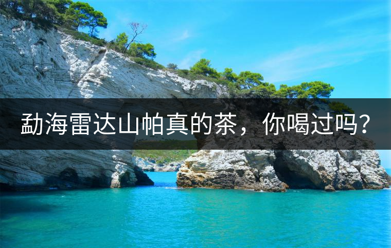 勐海雷達(dá)山帕真的茶，你喝過嗎？