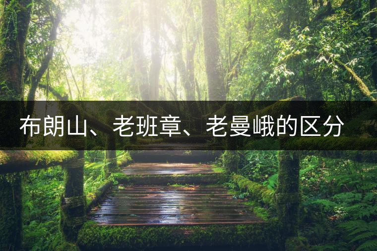布朗山、老班章、老曼峨的區(qū)分和鑒別